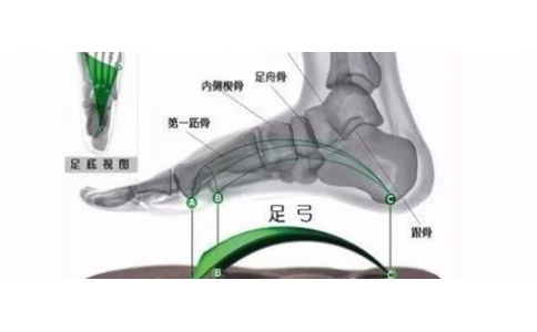 矯形鞋墊為什么可以緩解足部疾??？
